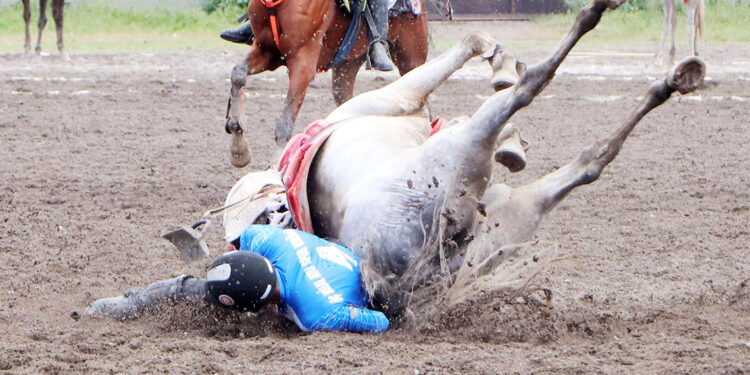 Atıyla takla atan ciritçinin ölümden döndüğü an