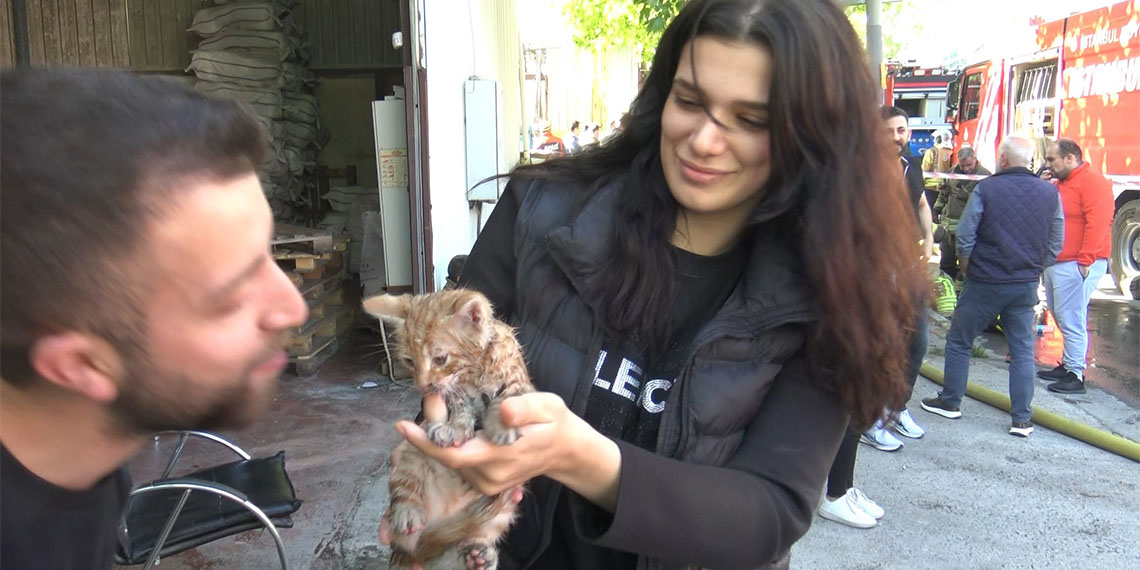 Avcılar'da mobilya üretim fabrikasında yangın
