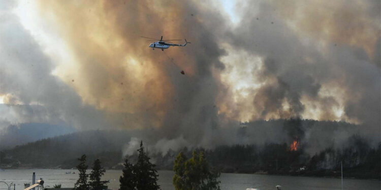 100 bin lira karşılığında ormanı yakan sanığa 2 kez ağırlaştırılmış müebbet