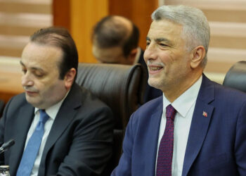 Bakan Bolat: Vize konusundaki sıkıntıları dile getirdik