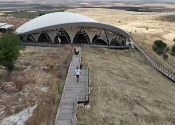 Balıklıgöl ile Göbeklitepe'deki başıboş köpekler toplatıldı