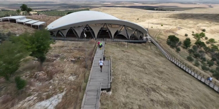 Balıklıgöl ile Göbeklitepe'deki başıboş köpekler toplatıldı