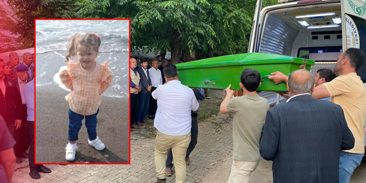 Böcekli beldesinde böceğin ısırdığı Gökçe, öldü