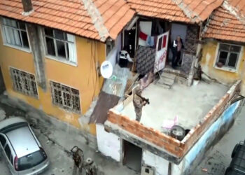 Mahzen-49 operasyonlarında organize suç örgütü çökertildi