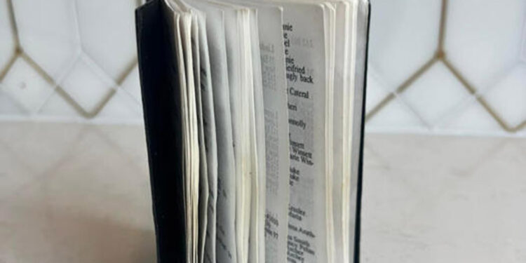 Cinsel istismar suçlusu Epstein'in küçük kara kitabı açık artırmada