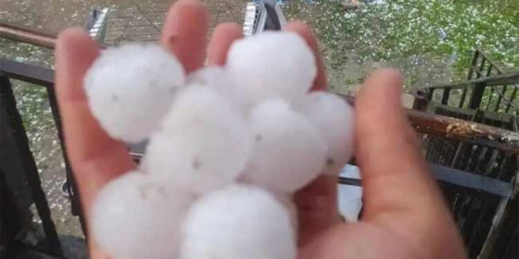 Diyarbakır ve Batman'da sağanak; serçeler öldü