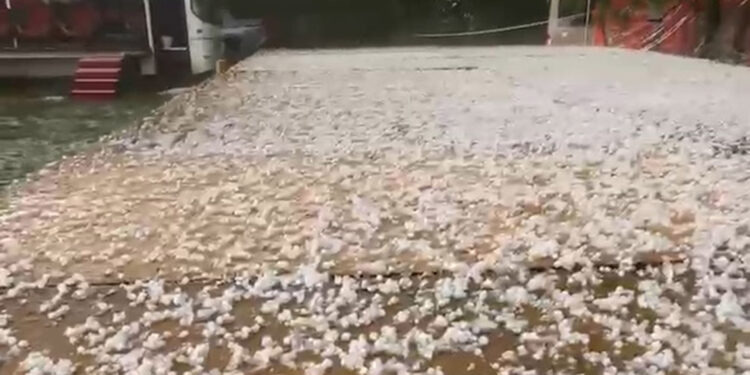 Düzce'de dolu yağışı etkili oldu