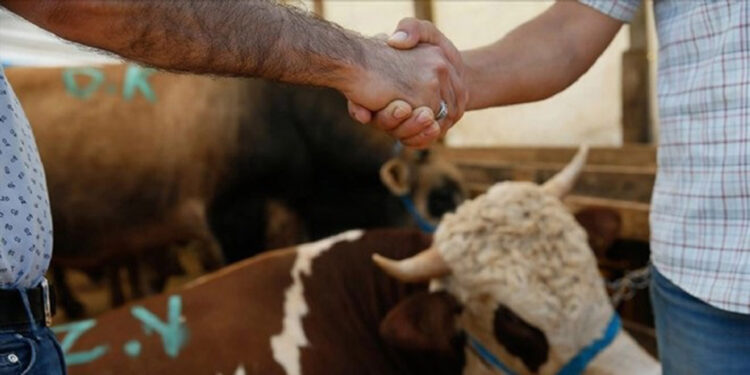 EGM'den 'kurbanlık alışverişi' uyarısı