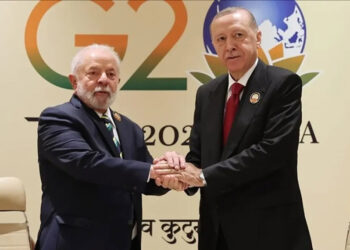Erdoğan, Brezilya Devlet Başkanı Lula da Silva ile görüştü