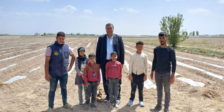 Çocuklar tarlada değil okulda olmalı