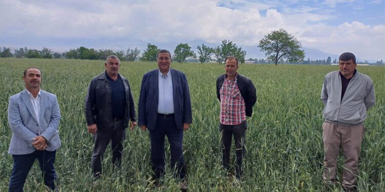 Buğday taban fiyatı 15 bin TL/ton olmalı