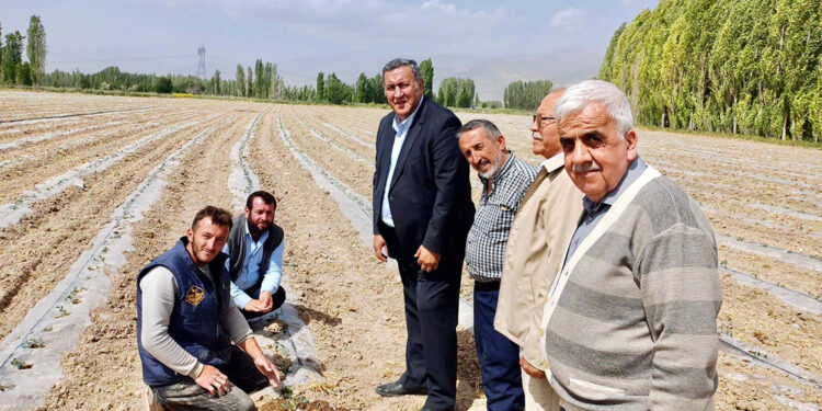 22 senede çiftçiyi batırdılar