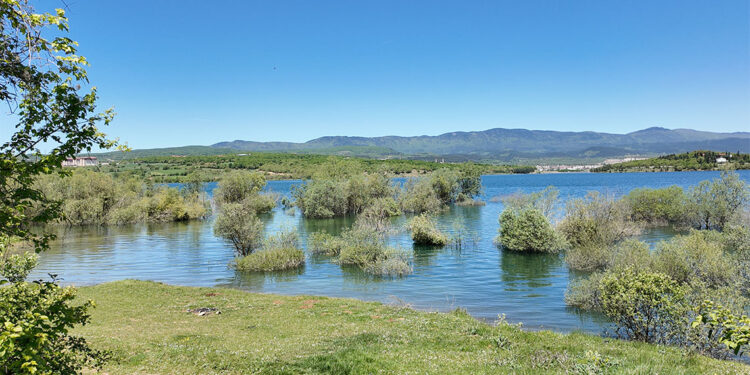Gölköy Barajı'nda doluluk oranı yüzde 96 seviyesinde