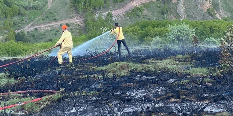 Gümüşhane'de örtü yangını