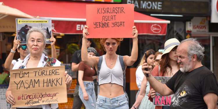 Hayvanseverlerden başıboş hayvan düzenlemesine tepki