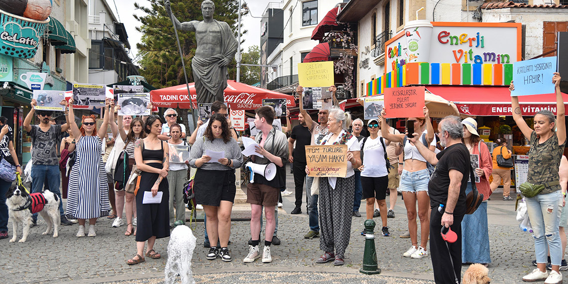 Hayvanseverlerden başıboş hayvan düzenlemesine tepki
