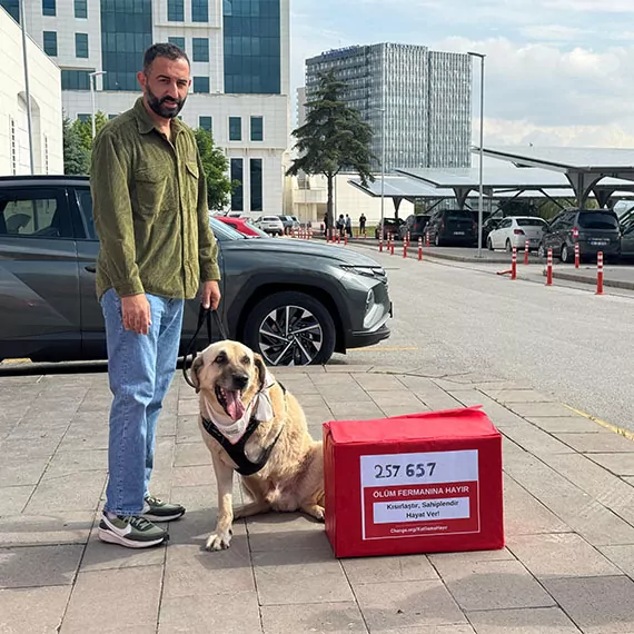 Ankara'daki hayvanseverler sokak köpekleri için bakanlığa 257 bin imzayı teslim etti. Sokak köpekleri için akılcı ve bilimsel çözümler ortaya konulması gerektiği belirtildi.