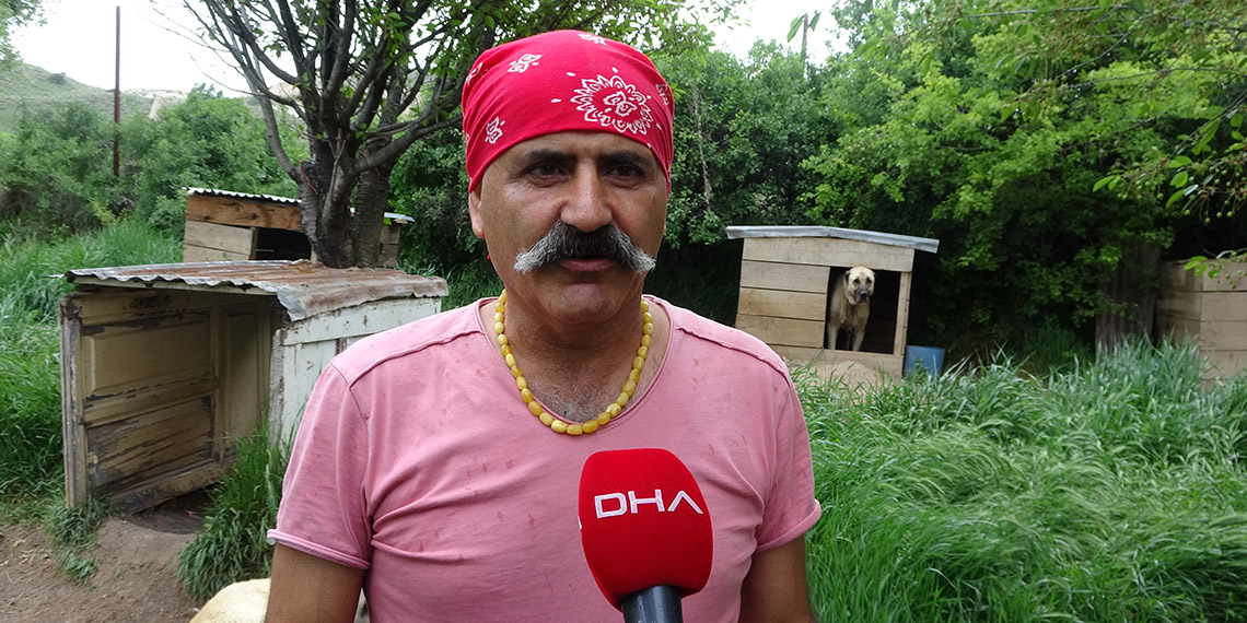 İklim değişikliği nedeniyle Kangal köpeği üretimi yüzde 50 düştü