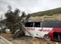 Isparta'da yolcu otobüsü ağaca çarptı: 11 yaralı