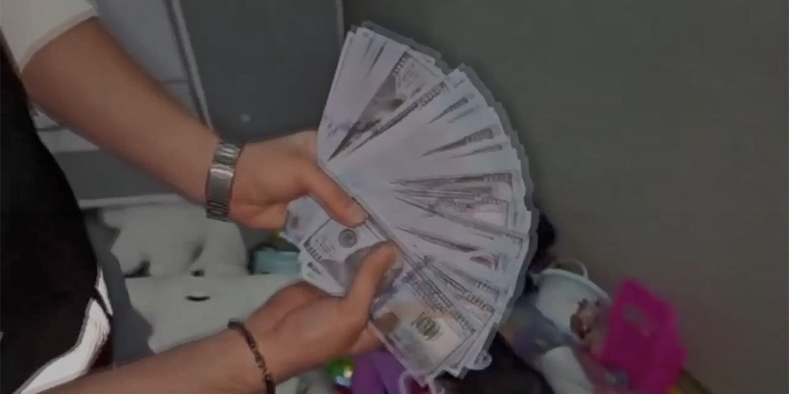 İstanbul'da sahte dolarları Türkiye'ye getirerek burada piyasaya sürmeye çalışan şüpheliyi suçüstü yakaladı.