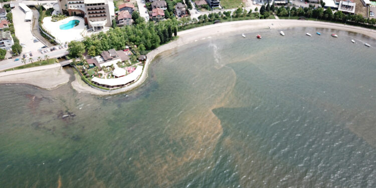 İzmit Körfezi'ndeki renk değişiminin sebebi, 'fitoplankton' çıktı