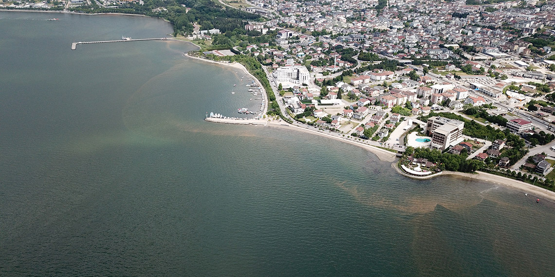 İzmit Körfezi'ndeki renk değişiminin sebebi, 'fitoplankton' çıktı