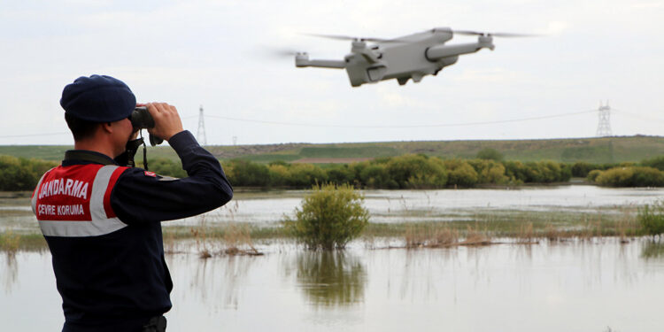 Jandarma, inci kefali nöbetinde