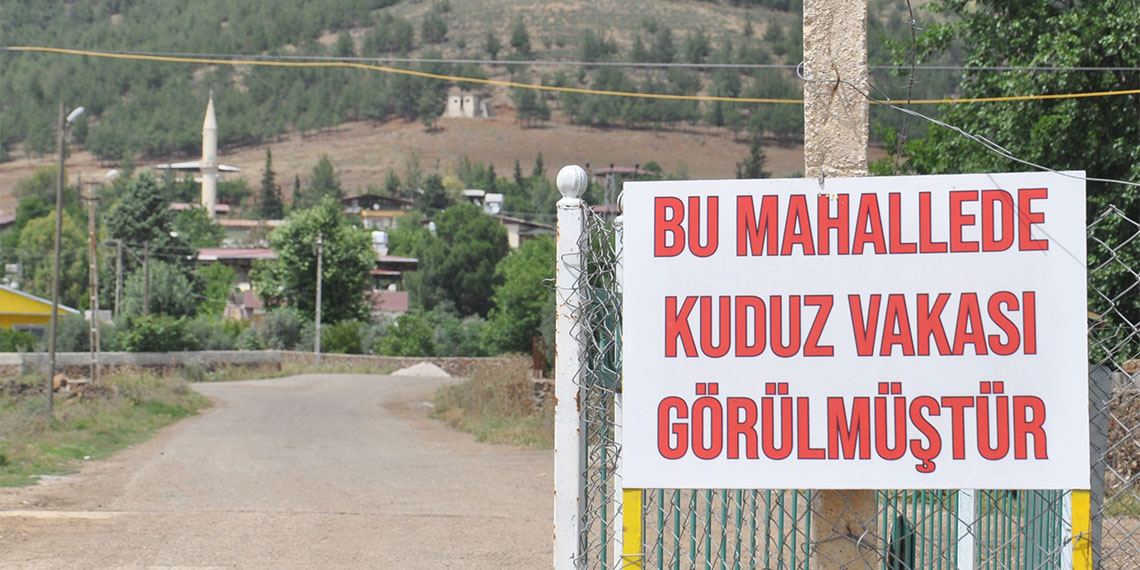Gaziantep'in İslahiye ilçesinde 1 kişiyi ısıran köpek kuduz çıktı, mahalle 6 ay karantinaya alındı. Zabıta ekipleri, vatandaşları bilgilendirip uyarılarda bulundu.