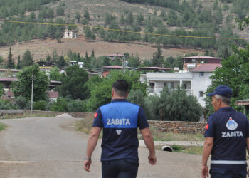1 kişiyi ısıran köpek kuduz çıktı, mahalle 6 ay karantinaya alındı