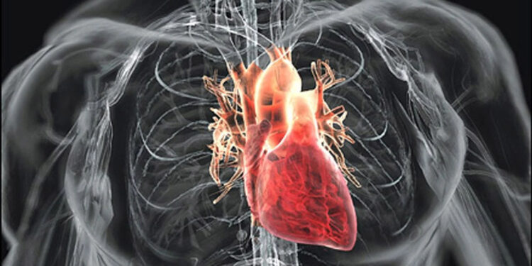 Kalp- damar hastaları yağ içeriği düşük sütleri tüketmeli