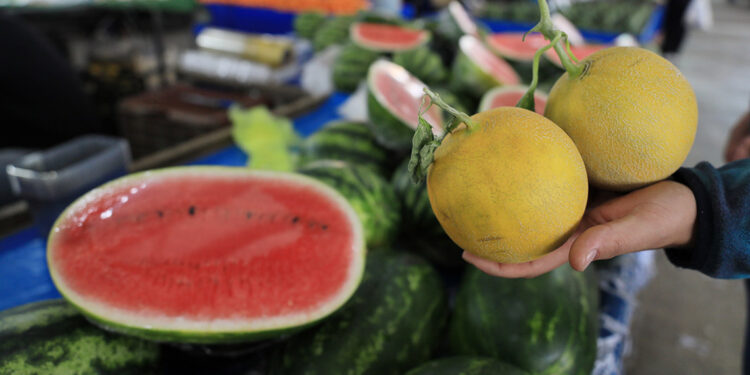 Kelek karpuz, kavun 'ayıplı ürün' statüsünde