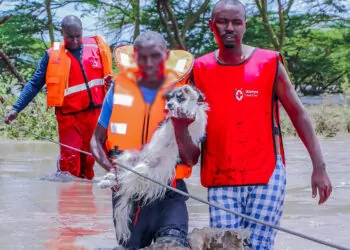Kenya'da sel felaketi: 166 kişi öldü, 132 kişi kayıp