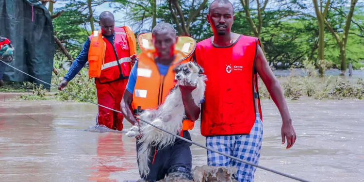 Kenya'da sel felaketi: 166 kişi öldü, 132 kişi kayıp