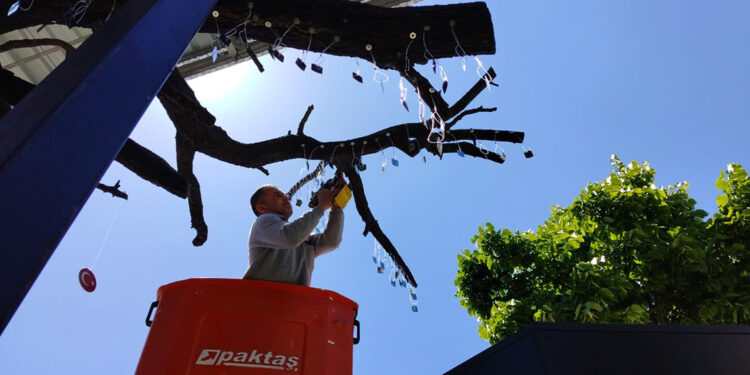 Kırşehirli 1310 şehidin künyesi, ‘Şehitler Ağacı’na asıldı