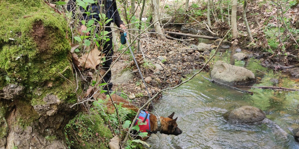 Korhan Berzeg'in 12 kemik ve kafatası toprağa verilecek