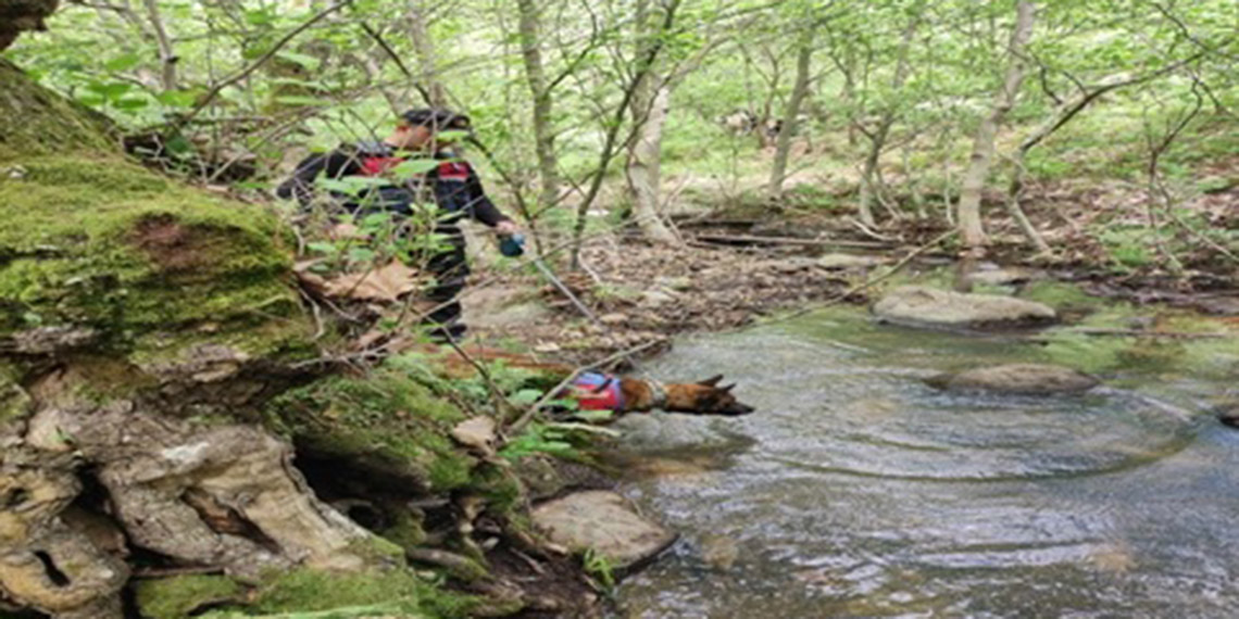 Korhan Berzeg'in kemikleri, Gönen'de toprağa verilecek