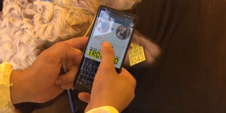 Kurbanlık bilgileri, 'Tarım Cebimde' uygulaması ile sorgulanabilecek