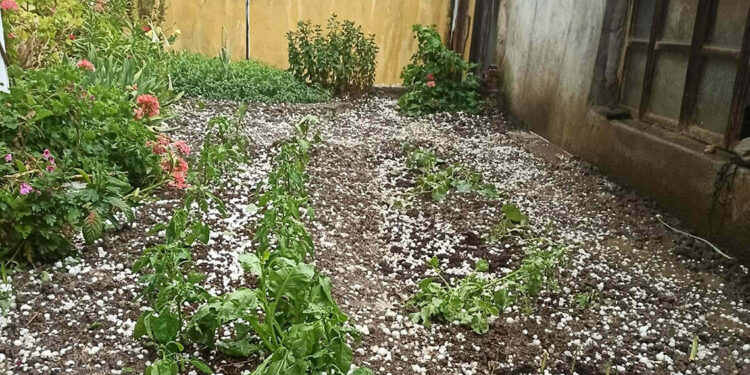 Manisa'da dolu yağışı; tarım arazileri zarar gördü