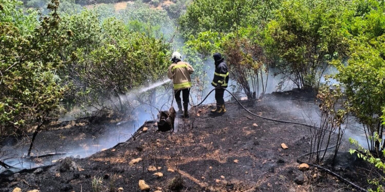 Mardin'de bahçede çıkan yangın ormana sıçradı