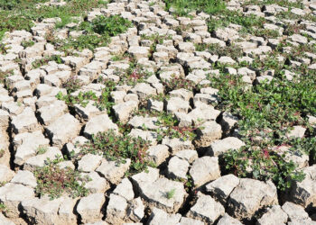 Marmara Gölü'nü kurtaracak proje, 9 Mayıs'ta ihaleye çıkacak
