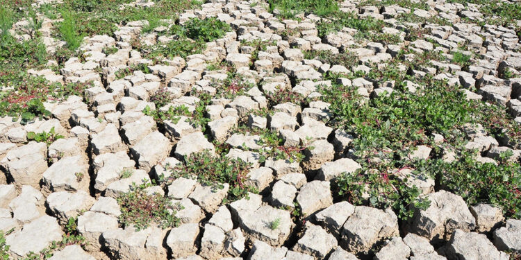 Marmara Gölü'nü kurtaracak proje, 9 Mayıs'ta ihaleye çıkacak