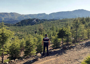 Muğla'da ormanlara giriş yasağı