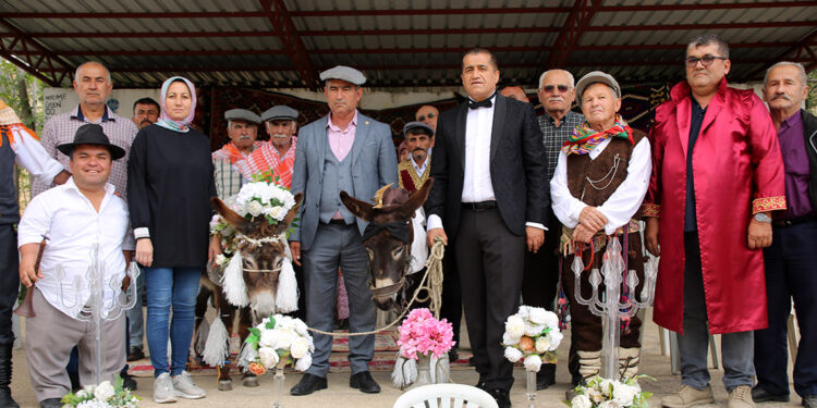 'Nesli tükenmesin' diye eşeklere sembolik nikah kıydılar