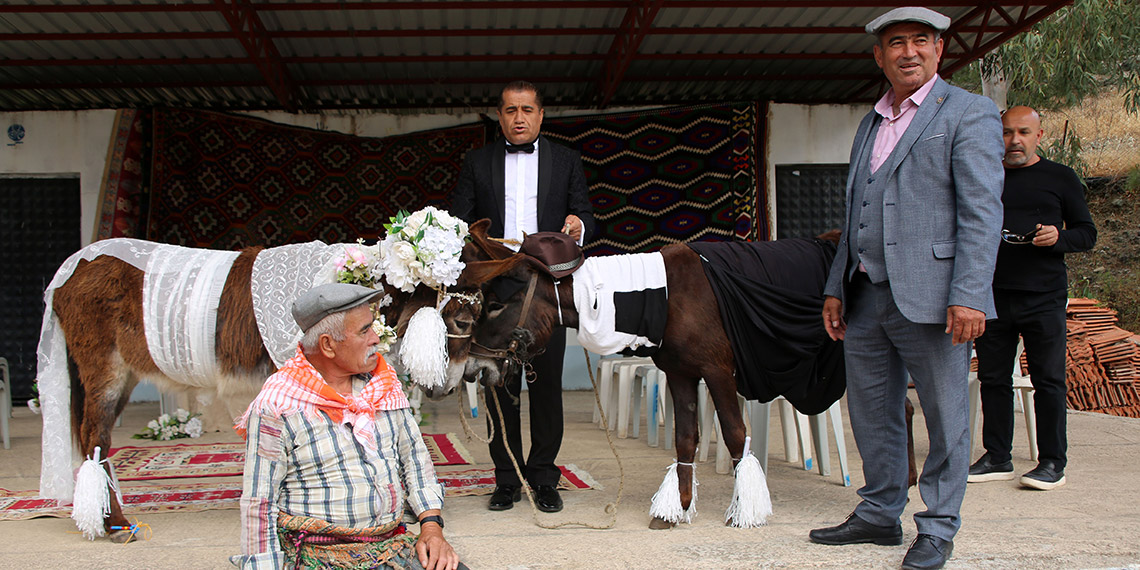'Nesli tükenmesin' diye eşeklere sembolik nikah kıydılar