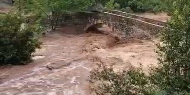 Osmaniye'de iki gündür etkili olan sağanakta dere taştı