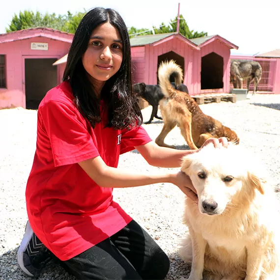 Adana’da okulda takı üretip satan derya öğretmen ve öğrencileri sokak köpeklerine can oldu.