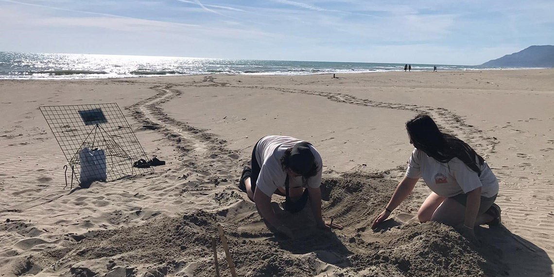 Patara'da caretta yuva rekoru