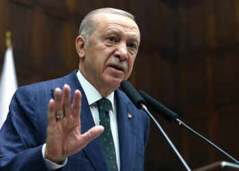 Sahiplenilen hayvanlar kısırlaştırılacak, aşılanacak, çip takılacak