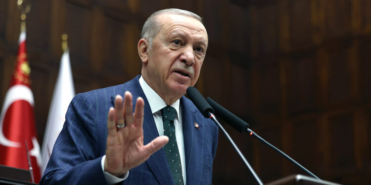 Sahiplenilen hayvanlar kısırlaştırılacak, aşılanacak, çip takılacak