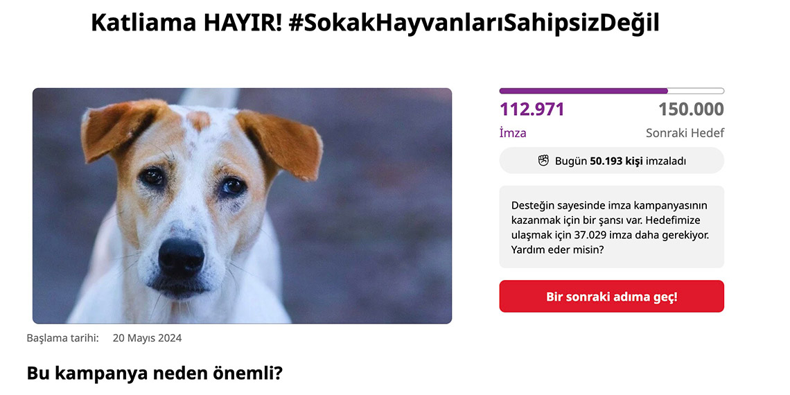 Sahiplenilmeyen hayvanların uyutulacağı haberleri harekete geçirdi